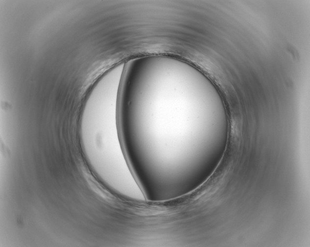 X0000091190397200708091026
