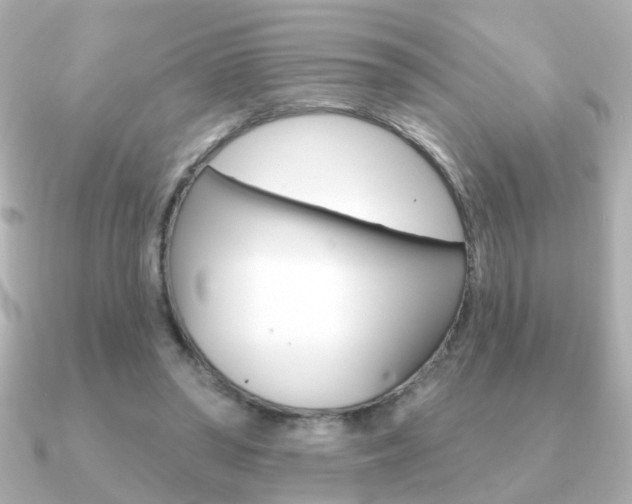 X0000091190398200708091026