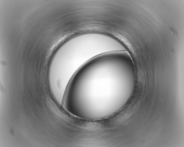 X0000091190399200708091026