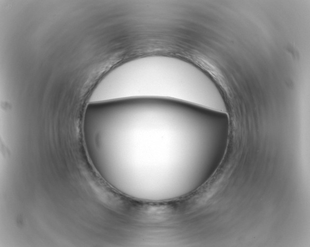 X0000091190401200708091026