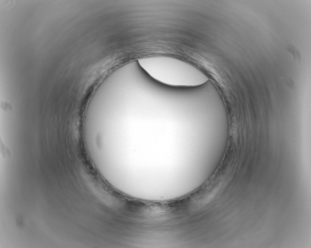 X0000091190402200708091026