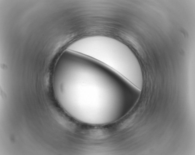 X0000091190404200708091026