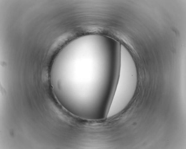 X0000091190407200708091026