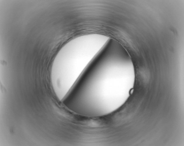 X0000091190412200708091026