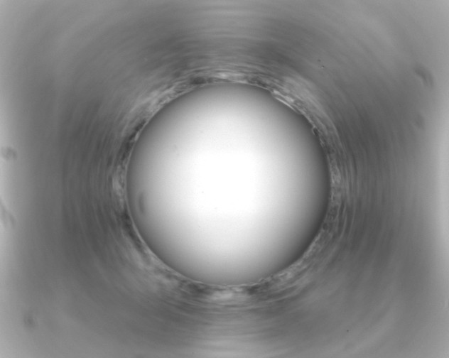 X0000091190415200708091026