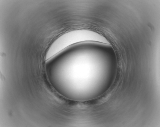 X0000091190416200708091026