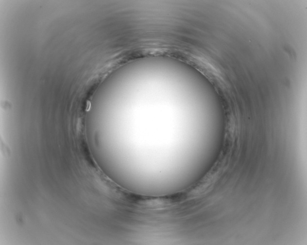 X0000091190417200708091026