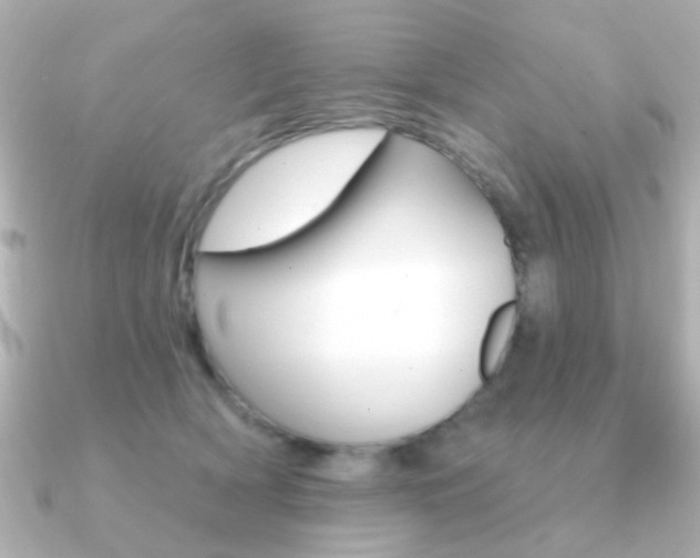 X0000091190418200708091026