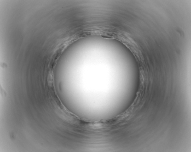 X0000091190419200708091026