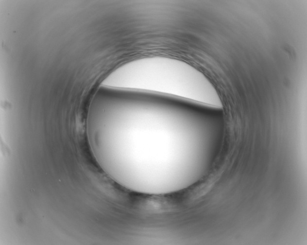 X0000091190420200708091026