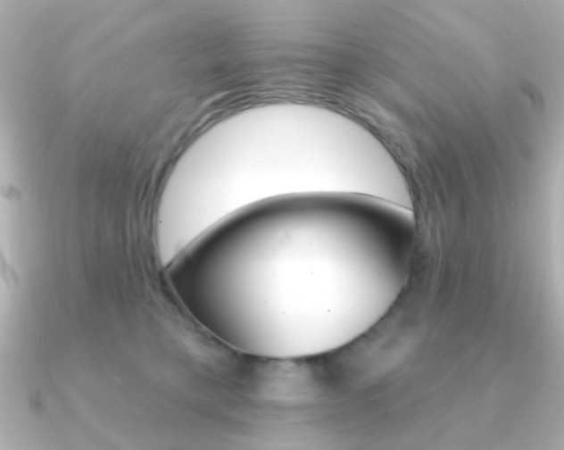 X0000091190421200708091026