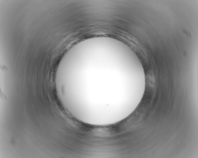 X0000091190422200708091025