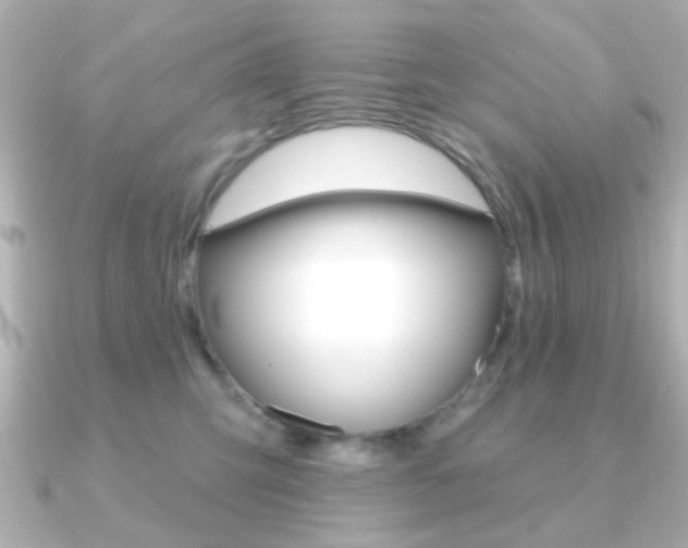 X0000091190423200708091025