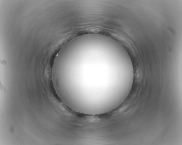 X0000091190424200708091025