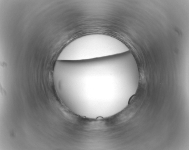 X0000091190426200708091025