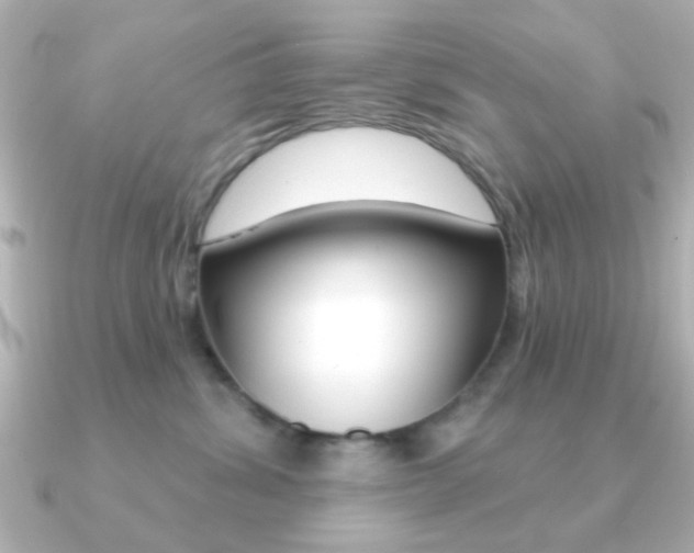 X0000091190428200708091025
