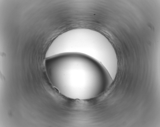 X0000091190429200708091025