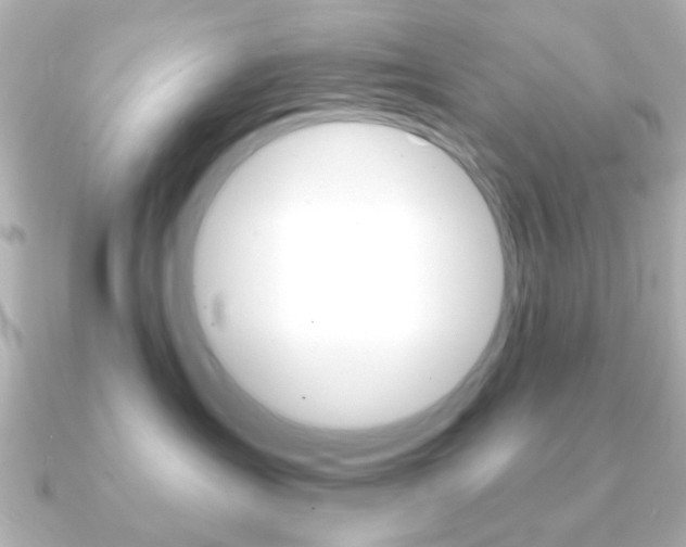 X0000091190431200708091025