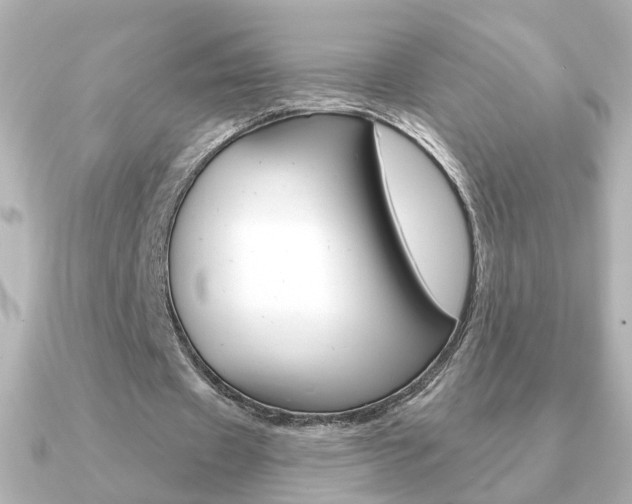 X0000091190433200708091025