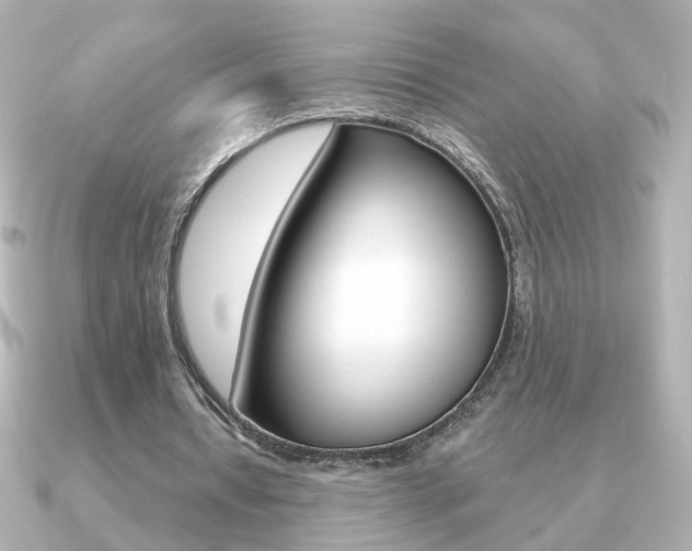 X0000091190434200708091025