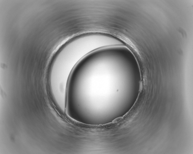 X0000091190436200708091025