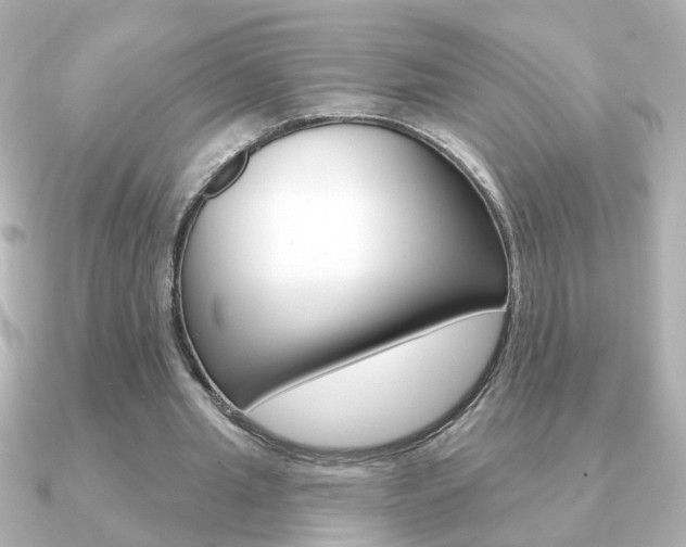 X0000091190437200708091025