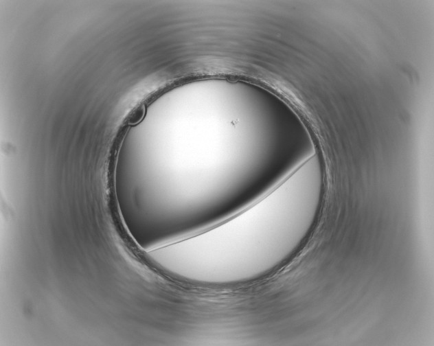 X0000091190438200708091025