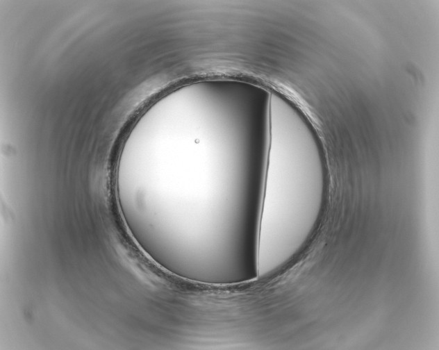 X0000091190439200708091025