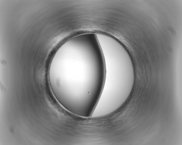 X0000091190440200708091025