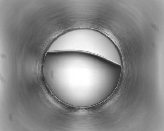 X0000091190441200708091025