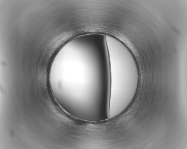 X0000091190442200708091025