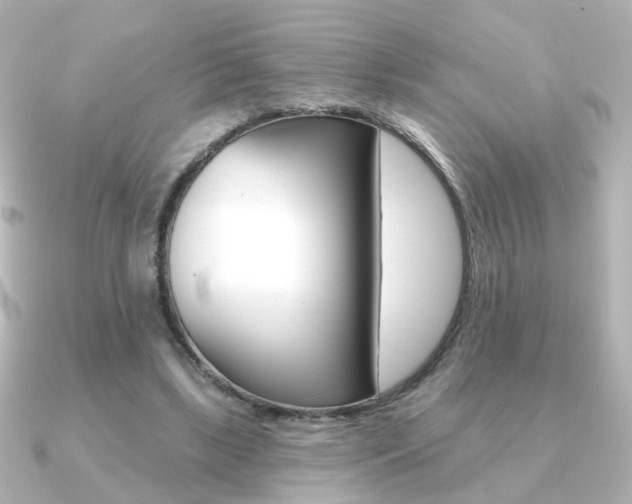 X0000091190443200708091025