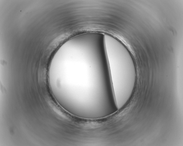 X0000091190445200708091025