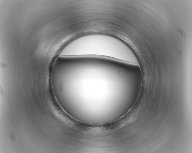 X0000091190446200708091025