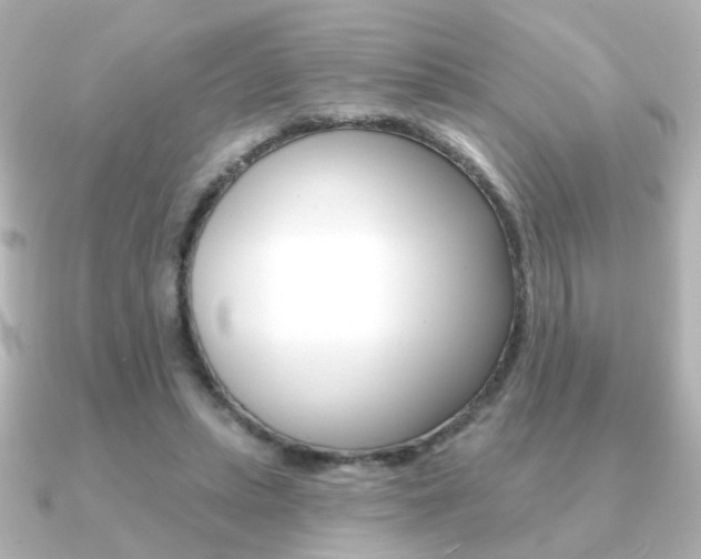 X0000091190447200708091025