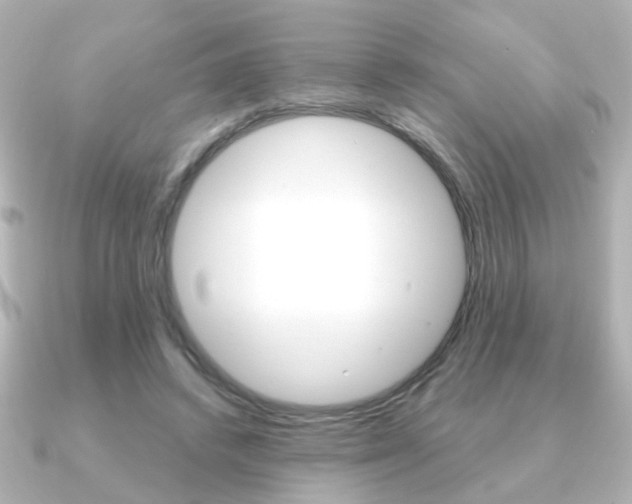 X0000091190448200708091025