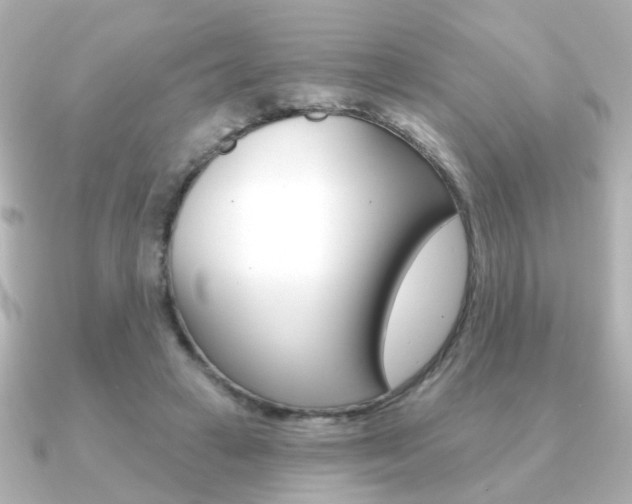 X0000091190449200708091025