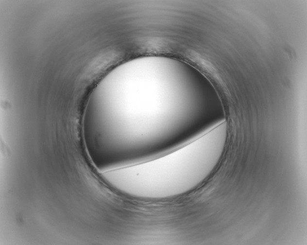 X0000091190450200708091025