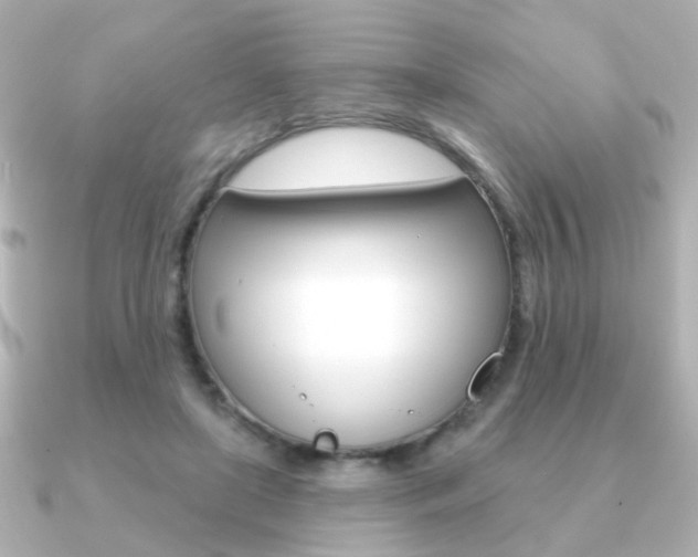 X0000091190451200708091025