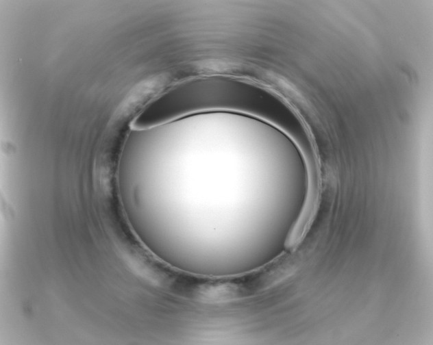 X0000091190452200708091025
