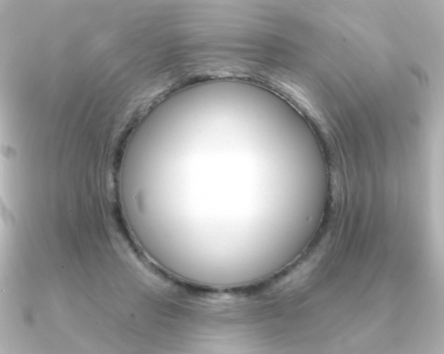X0000091190453200708091025