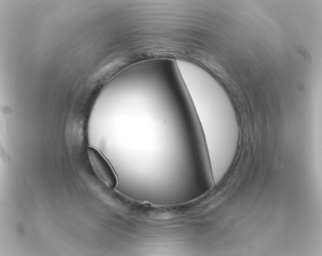 X0000091190454200708091025