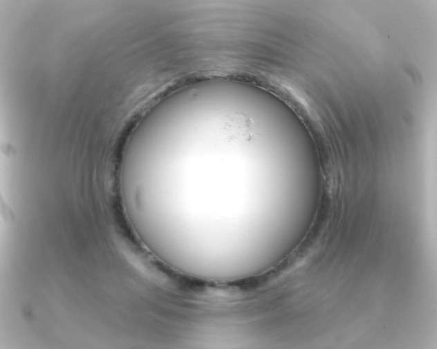 X0000091190455200708091025