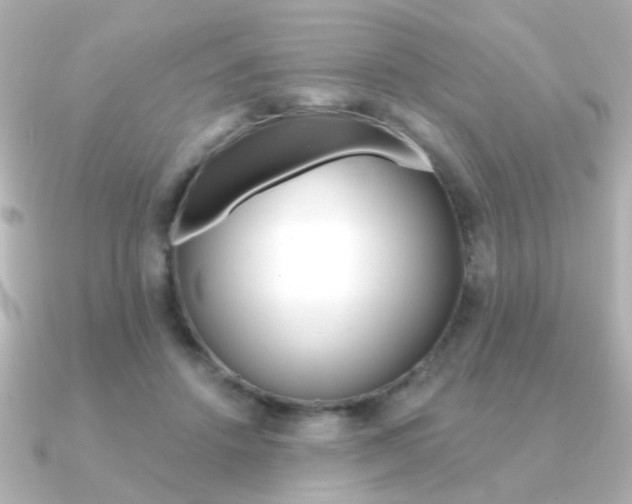 X0000091190456200708091025
