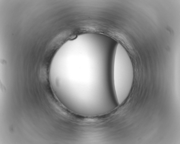 X0000091190457200708091025