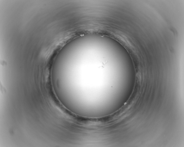 X0000091190458200708091025