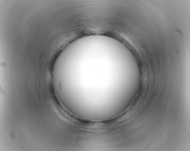 X0000091190459200708091025