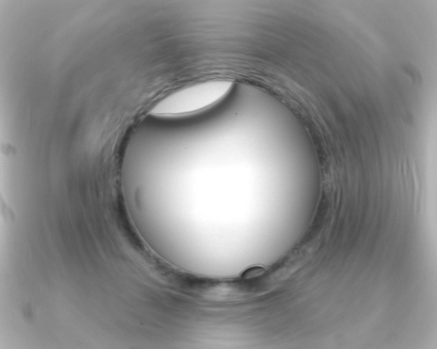 X0000091190460200708091025