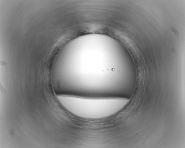 X0000091190461200708091025