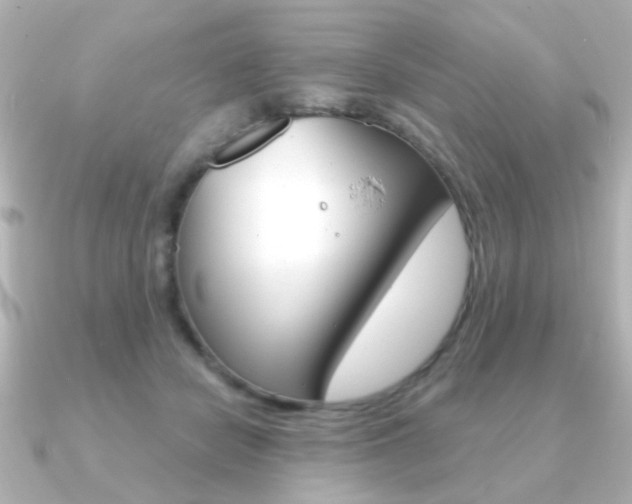 X0000091190462200708091025